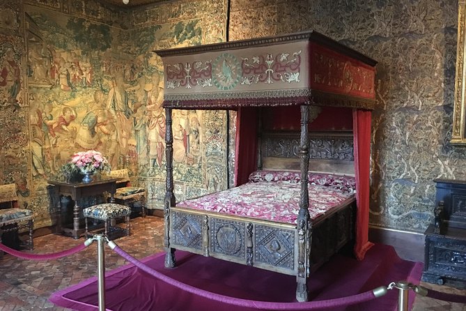 Loire Valley Castles VIP Private Tour: Chambord, Chenonceaux, Amboise - Who should book this private Loire day trip?