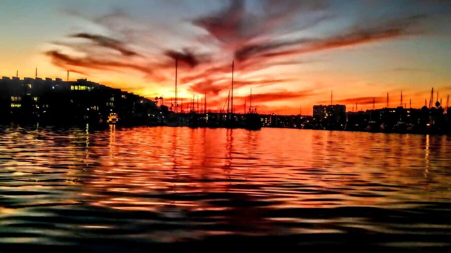 Los Angeles #1: Luxury Boat Cruise-Wine, Cheese & Sea Lions - Wine, Charcuterie, and the Real Food Picture