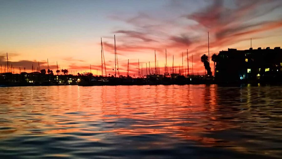 Los Angeles #1: Luxury Boat Cruise-Wine, Cheese & Sea Lions - Sunset, Sea Lions, and the Best Time to Go