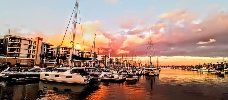 Los Angeles #1: Luxury Boat Cruise-Wine, Cheese & Sea Lions - Why the Captain Matters Here