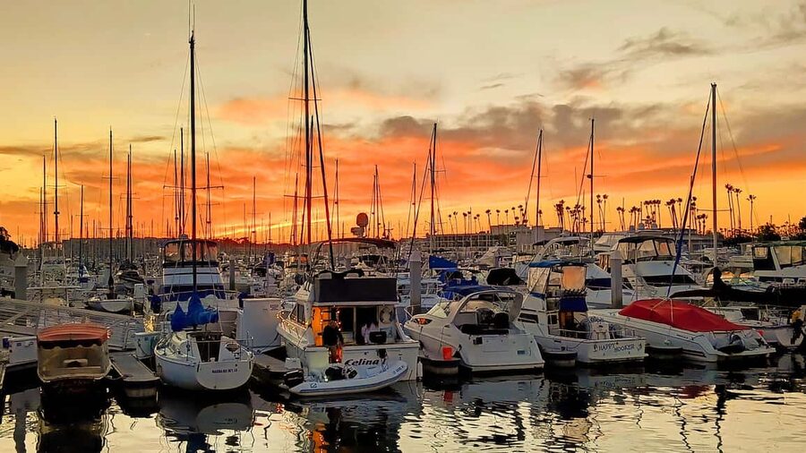 Los Angeles #1: Luxury Boat Cruise-Wine, Cheese & Sea Lions - Starting Near Via Marina and Brizo