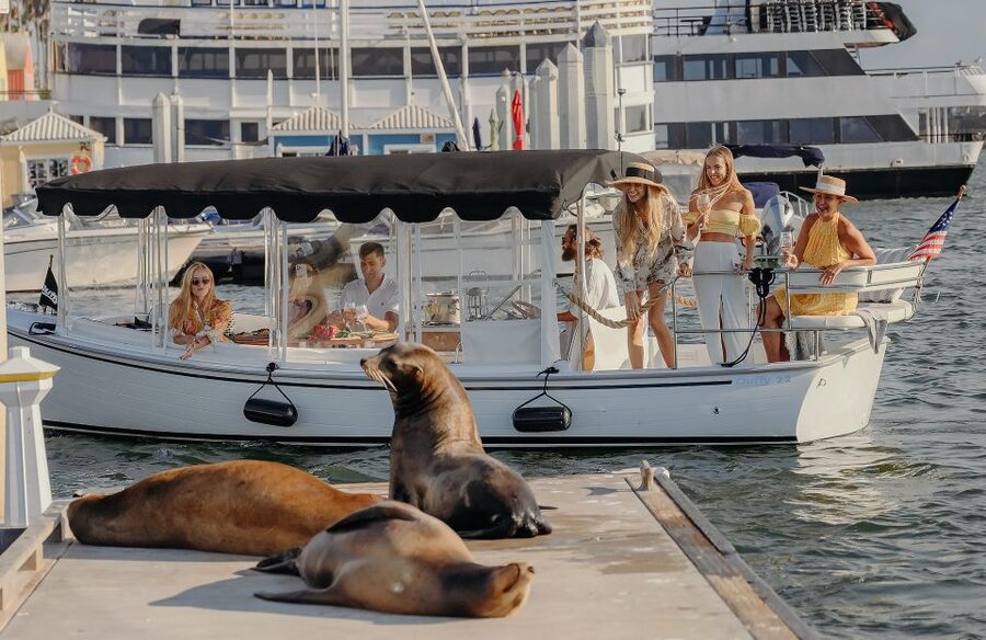 Los Angeles: Luxury Cruise with Wine, Cheese & Sea Lions - Setting Out From Marina del Rey