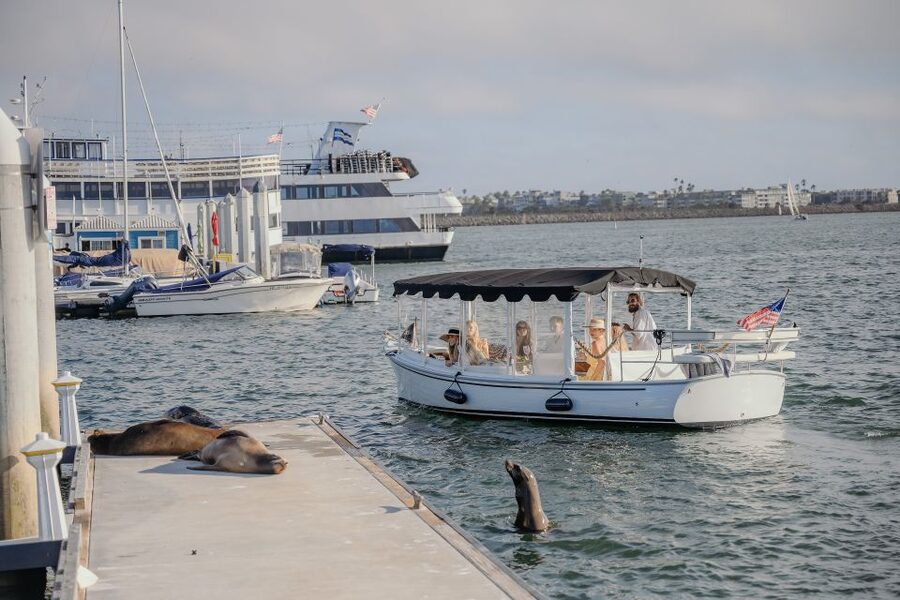 Los Angeles: Luxury Cruise with Wine, Cheese & Sea Lions - Sea Lions Along the Quiet Water