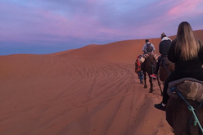 Luxury 2-Days Desert Trip from Fes to.:( fes or marakech) - What the $139.03 Price Really Buys
