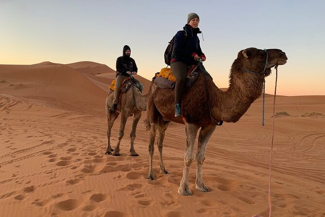 Luxury 2-Days Desert Trip from Fes to.:( fes or marakech) - Pickup Problems and How to Avoid Them