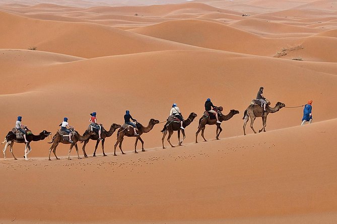 Luxury 2-Days Desert Trip from Fes to.:( fes or marakech) - Arrival at Erg Chebbi and the Sunset Camel Ride