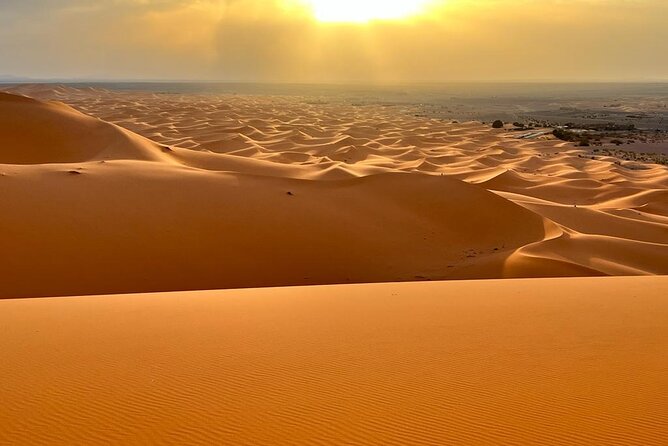 luxury 3 Days 2 Nights Desert Tour from Fez to Marrakesh - Day two: Rissani, palm valleys, and the Todra Gorge
