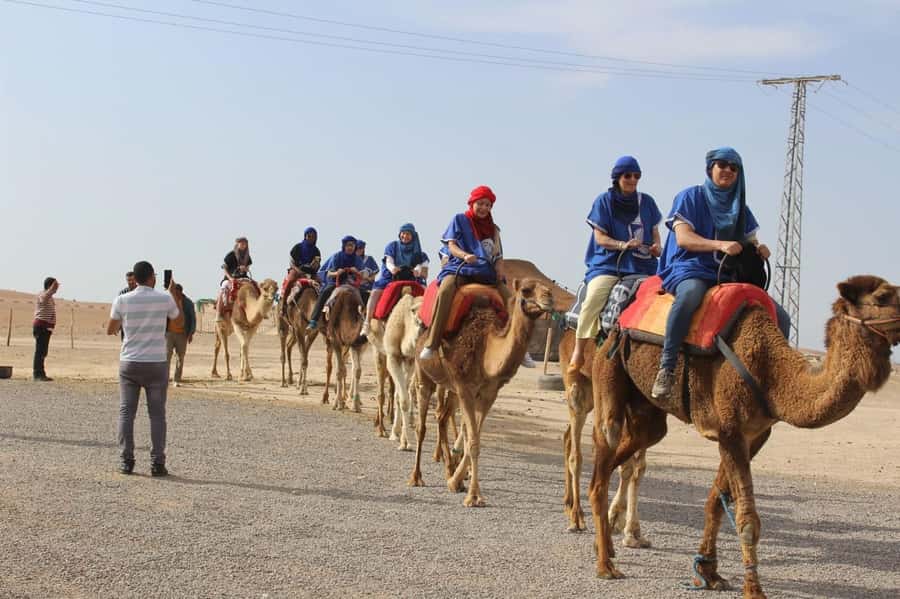 Luxury Agafay Desert : Quad , Camel Ride, Pool & Dinner Show - Key points to know before booking
