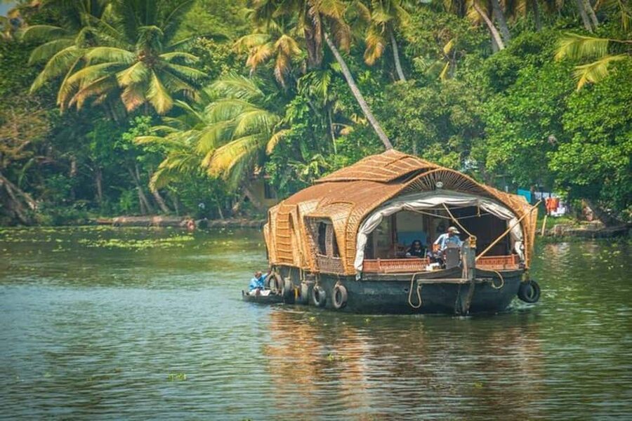 Luxury Alleppey Houseboat Day Tour from Kochi - Guides, Communication, and Organization