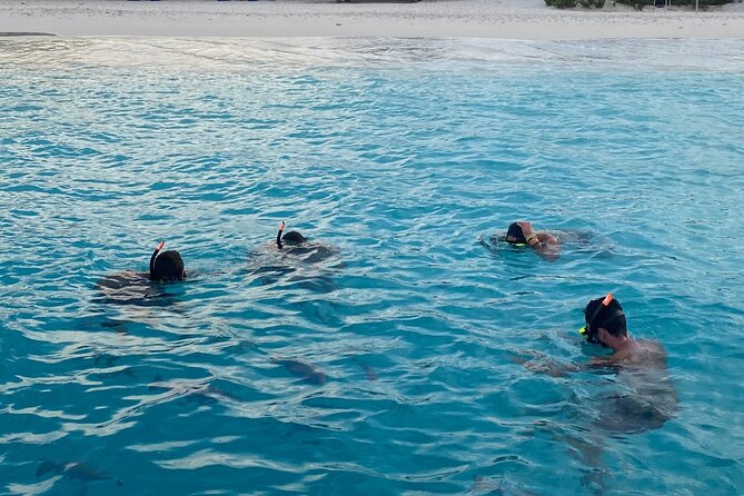 Luxury and Private Snorkel with Beach and Sunset View - Leaving from Corallium Resort at 3:00 p.m.