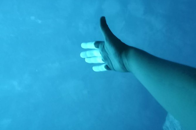 Luxury Blue Cave, Hvar and Vis Boat Tour from Split and Brac - Budikovac Island and the best swimming time
