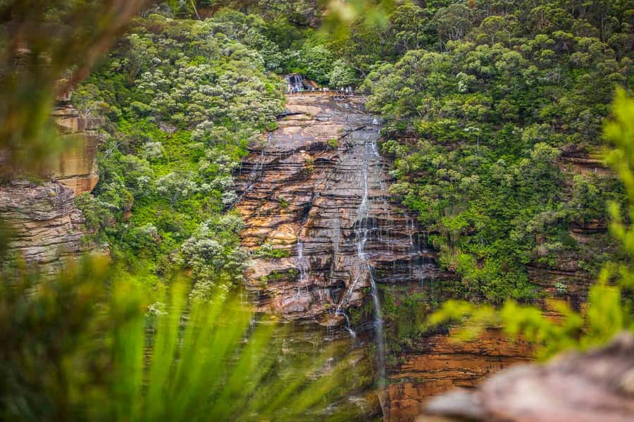 Luxury Blue Mountains Escape The Crowds Tour - Lower Blue Mountains coffee and changing scenery