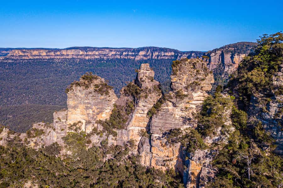 Luxury Blue Mountains Escape The Crowds Tour - Featherdale or a more private day