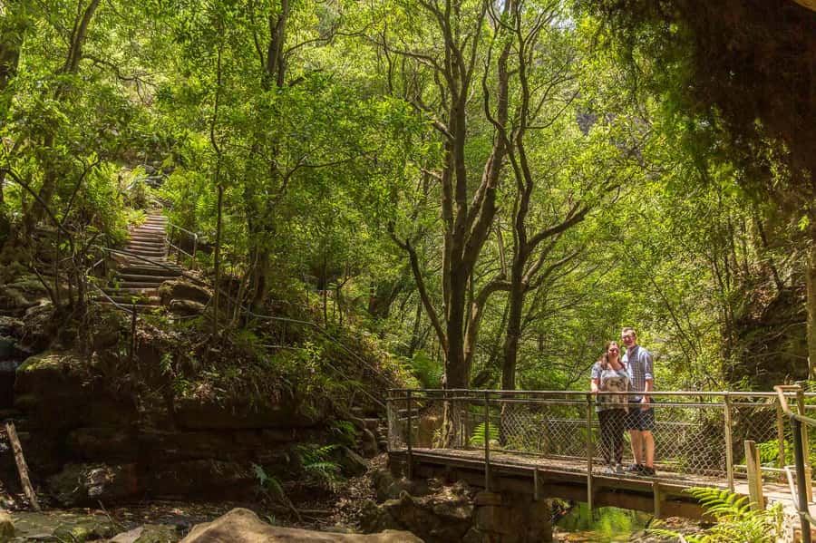 Luxury Blue Mountains Escape The Crowds Tour - Why Scenic World is not part of the price