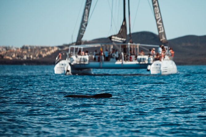 Luxury Catamaran Cruise with Brunch and Unlimited Drinks - How crowded does the catamaran feel?