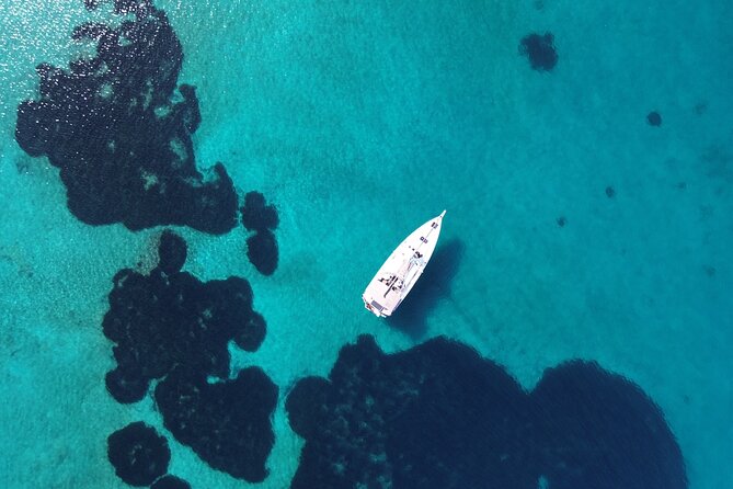 Luxury Catamaran Morning Semi-Private & Greek Gastronomy Athens - Snorkeling and paddleboarding without extra rental fees