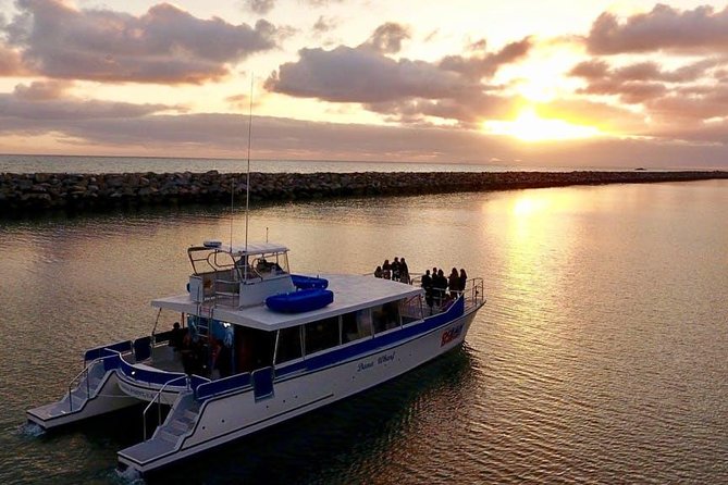 Luxury Catamaran Sunset and Wine Cruise from Dana Point - At a glance
