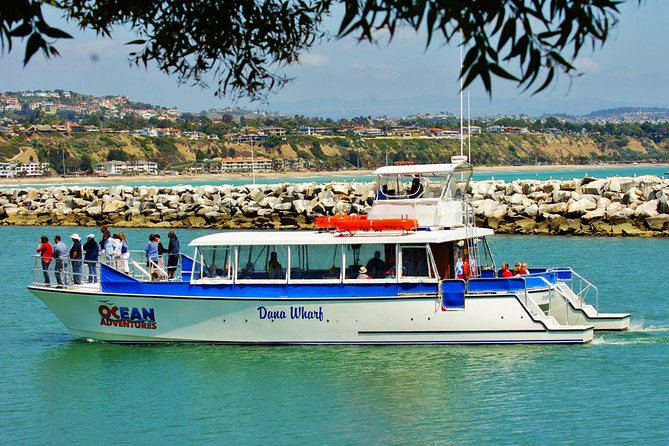 Luxury Catamaran Sunset and Wine Cruise from Dana Point - Boarding at Dana Point Harbor