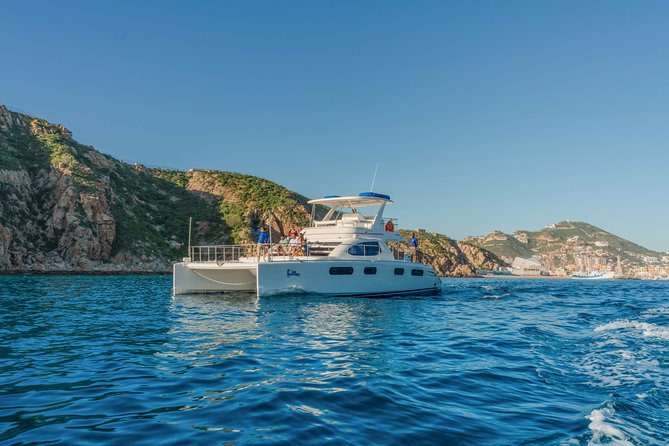 Luxury Catamaran Whale Watching Cabo San Lucas - What you are really buying for $129