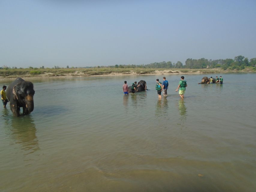 Luxury Chitwan Jungle Safari Package (2Nights/3Days) Resort - Why Chitwan makes a good break from Nepal’s mountains