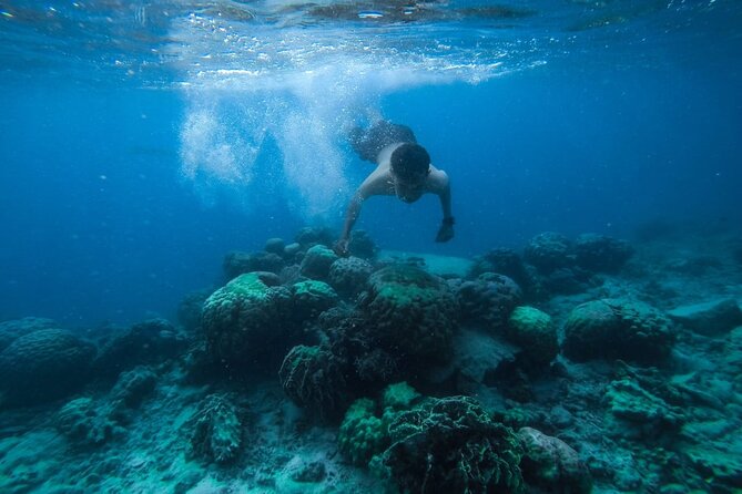 Luxury Cruise inc. Snorkeling/Massage/Island/water sport & Lunch - An early start from Hurghada