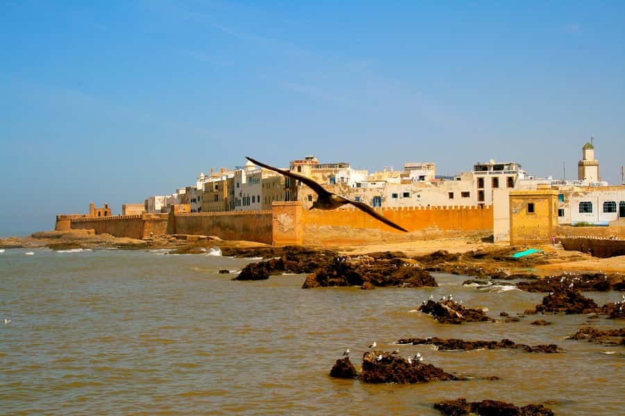 Luxury day trip to Essaouira from Marrakech - The port is the best place to use your free time