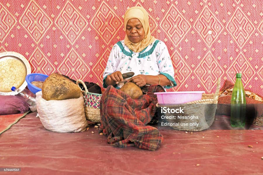 Luxury day trip to Essaouira from Marrakech - Transport, group size, and guide style