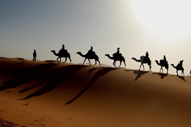 luxury desert tour 3days 2 night fez merzouga ouarzazat marakech - Fez to the cedar forest and the changing Atlas