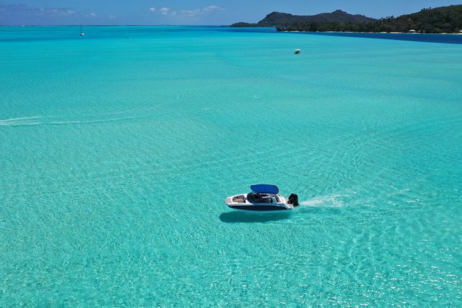 Luxury Full Day Snorkeling - Manta rays, eagle rays, and real wildlife luck