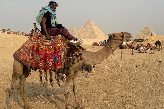 Luxury Half Day Tour to Giza Pyramids and sphinx with Camel Ride - What the guide adds to the visit