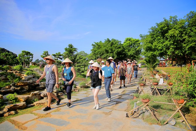 Luxury Hoa Lu Tam Coc Mua Cave 1 Day With Limousine Bus And Lunch - Buffet lunch and Vietnamese flavors