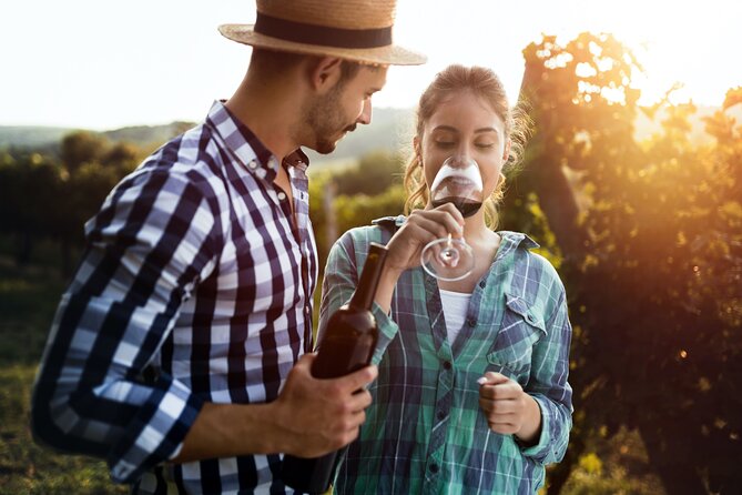 Luxury Hunter Valley Wildlife & Wine Tasting Tour from Sydney - Afternoon Wine With Room for Preferences