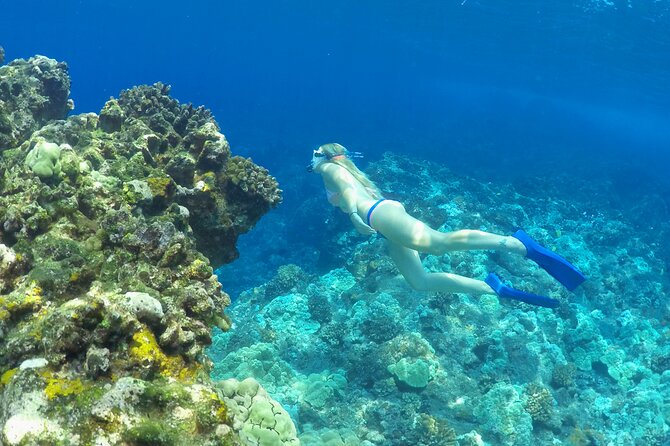 Luxury Kona Coast Snorkel Tour Including Lunch - Is $204.84 a Fair Price?