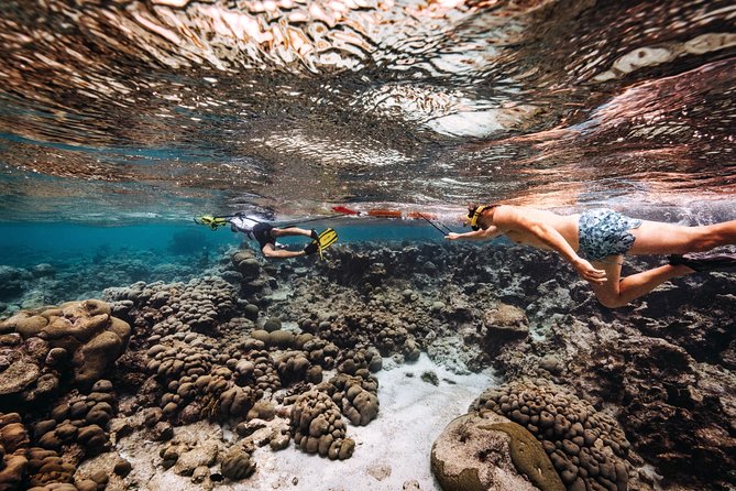 Luxury Lagoon Cruise with Onboard Chef and Signature Cocktails - Kayaking and Time to Relax