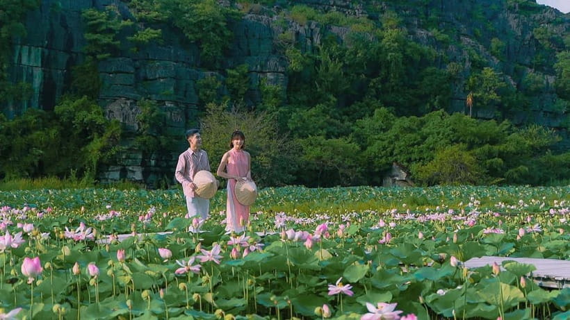 Luxury Limousine Tour: Hoa Lu, Trang An/Tam Coc & Mua Cave - Vietnamese lunch in Ninh Binh