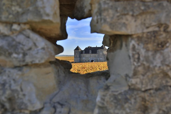 Luxury Luxury Wine Tour Experience - Starting from Beaune or Dijon at 9:30 a.m.