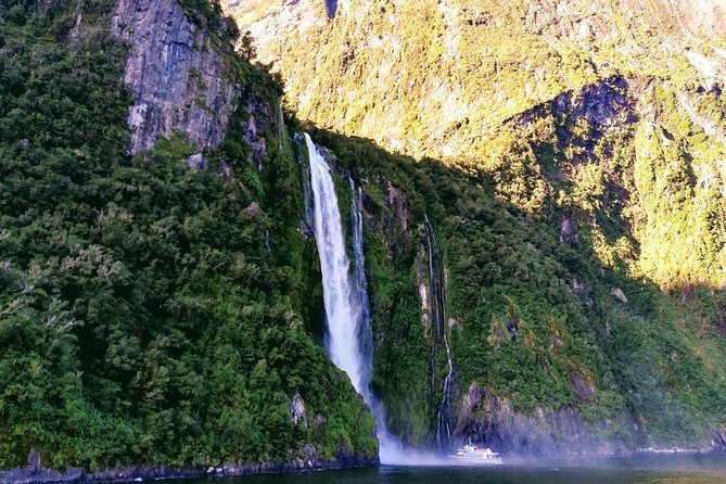 Luxury Milford Sound Coach and Scenic Cruise - Key points to know before booking