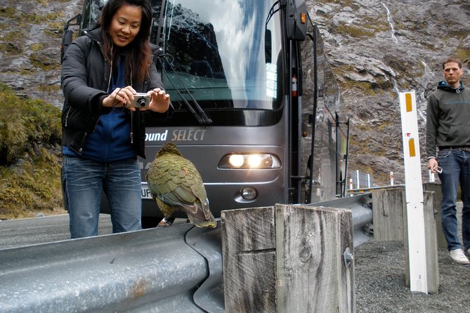 Luxury Milford Sound Coach and Scenic Cruise - Queenstown to Milford Sound: a very long day