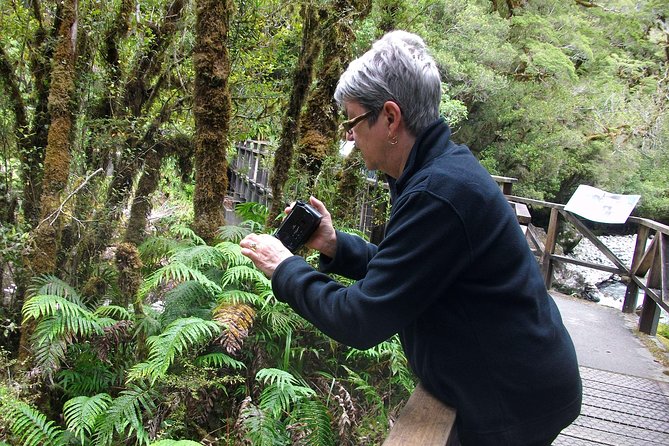 Luxury Milford Sound Coach and Scenic Cruise - Homer Tunnel and the road into Fiordland