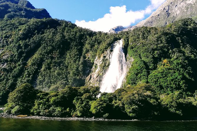 Luxury Milford Sound Coach and Scenic Cruise - Is $214.10 fair for the experience?