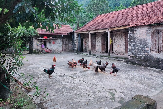 Luxury Ninh Binh Full Day Tour From Hanoi (Trang An - Hoa Lu) - Lunch and a quiet pause before the afternoon