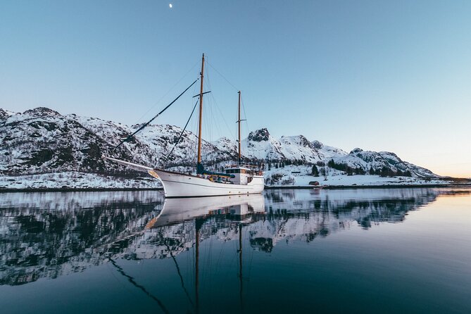 Luxury Northern Lights Yacht Cruise with Hot Tub from Tromsø - Is the price of $344.96 worth it?