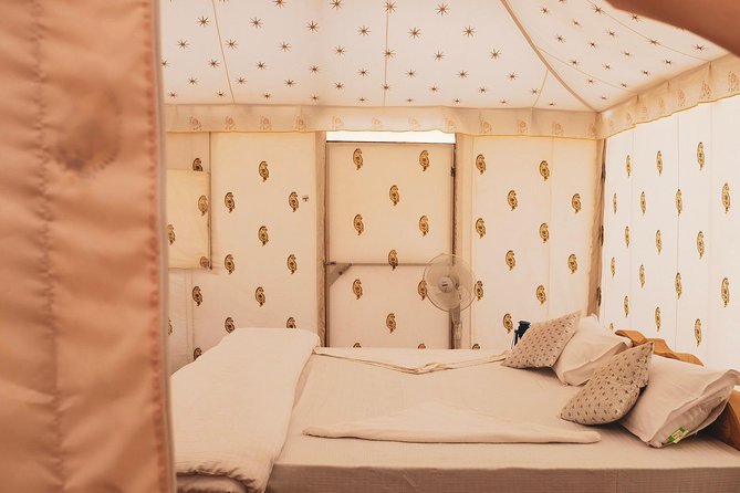 Luxury Overnight Camping Jaisalmer - The camel ride into the Thar Desert