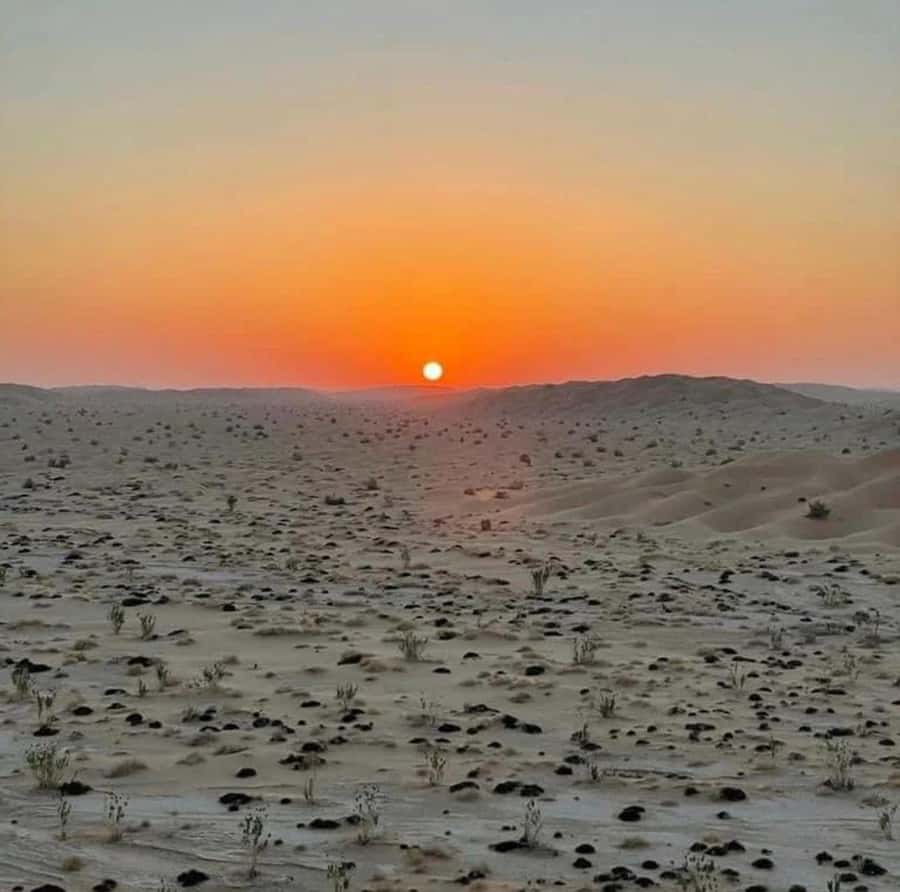 Luxury Overnight Desert Safari in Salalah - Sunset coffee, dates, and the limits of the promise