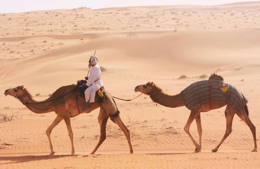 Luxury Overnight Desert Safari in Salalah - Sunrise is worth the early wake-up