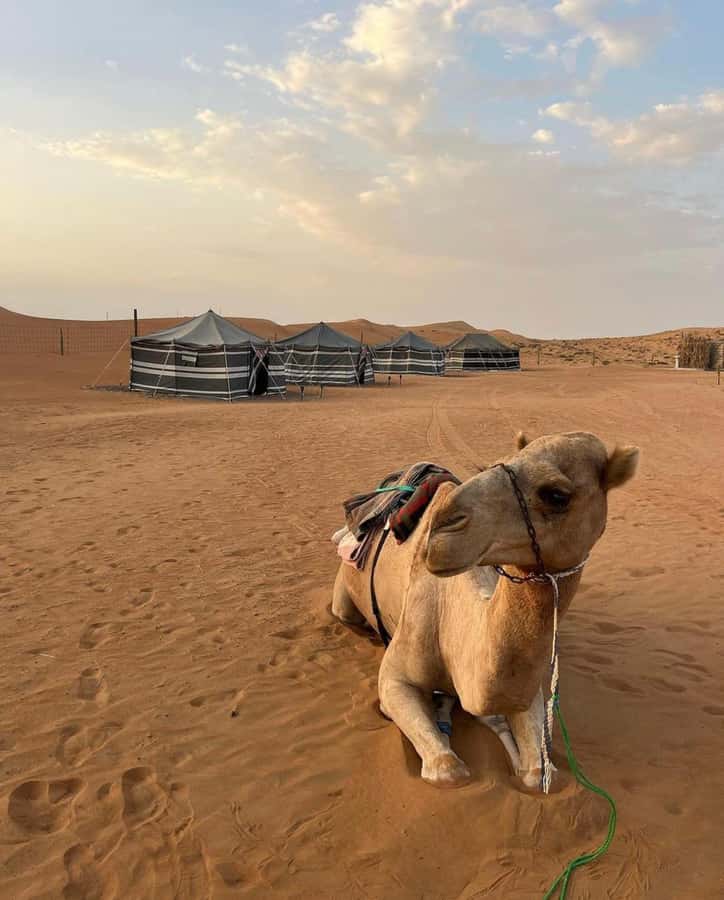 Luxury Overnight Desert Safari in Salalah - Ubar adds a story to the sand