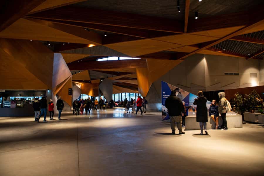 Luxury Phillip Island Tour for Families & Explorers 10 Max - Chocolate or Cape Woolamai: choose your pace