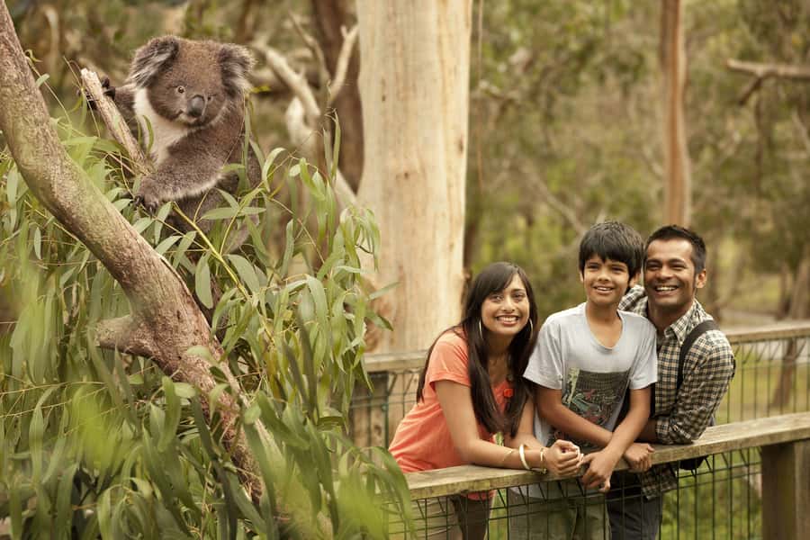 Luxury Phillip Island Tour for Families & Explorers 10 Max - Who will enjoy this Phillip Island trip?