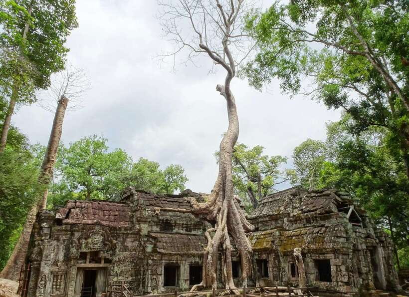 Luxury Private 2-Day Angkor Wat with English or German Guide - Guide Quality and Language Choices