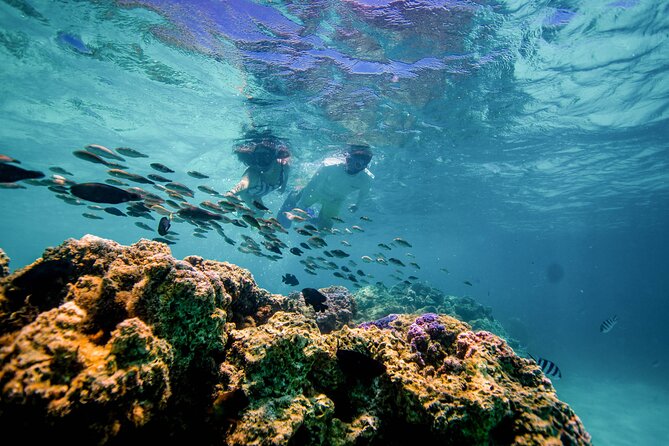 LUXURY PRIVATE Catamaran Bora Bora : Half-Day Trip - Paradise Bay and the floating bar stop